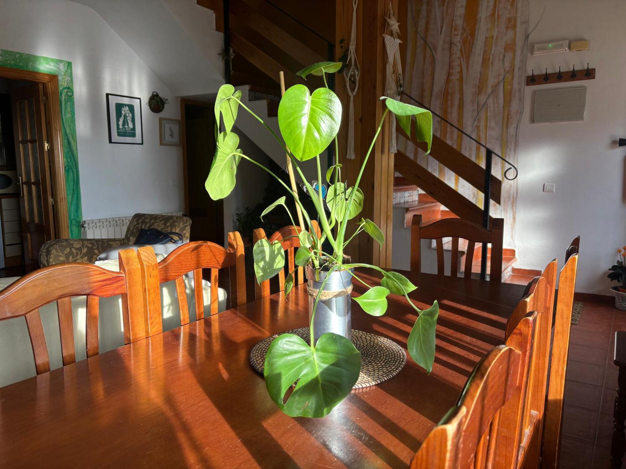 Espejo Del Tietar Villa Pedro Bernardo Eksteriør billede